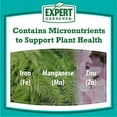 Expert Gardener Evergreen Tree & Shrub Plant Food Fertilizer 1648, 8