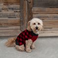 thumbnail image 5 of Vibrant Life Buffalo Plaid Dog & Cat Sweater, Black and Red, XS, among other Chihuahua, Miniature Poodle, 5 of 11