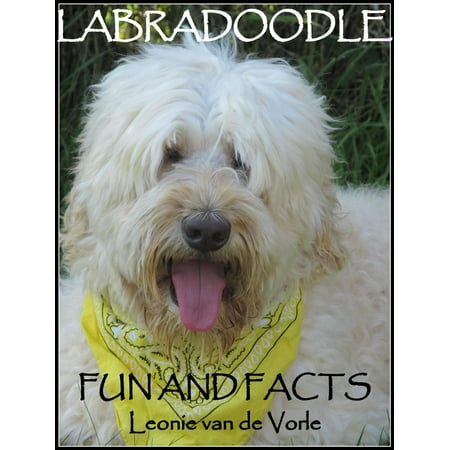 Labradoodle Fun and Facts - eBook