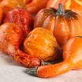 thumbnail image 3 of 264pc Foam and Polysilk Pumpkins/Gourds/Leaves Set - for Fall Decor - Factory Direct Craft, 3 of 7
