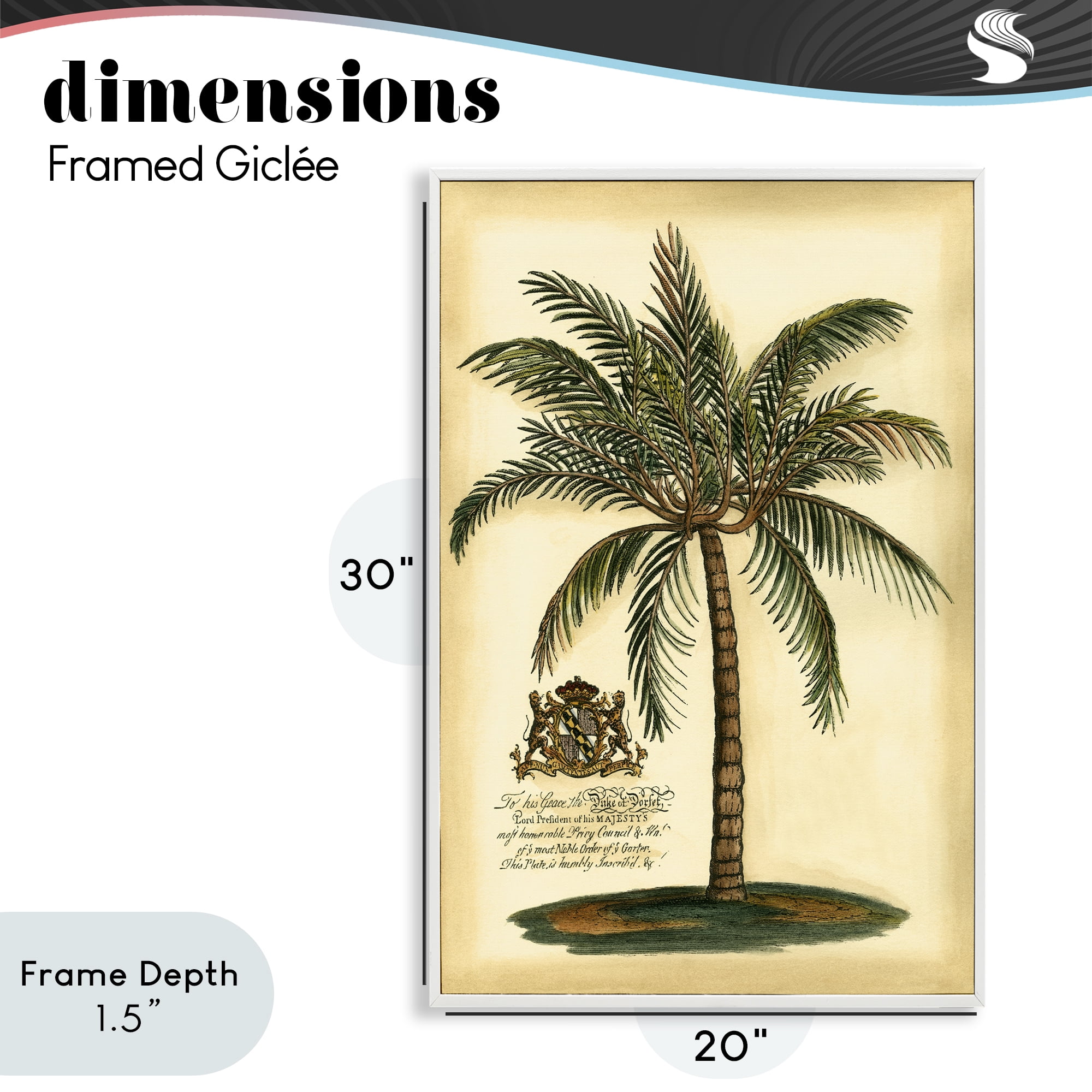 Stupell Industries British Colonial Palm White Framed Giclee Art, design by Vision Studio