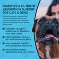 thumbnail image 6 of Animal Essential Plant Enzyme with Probiotics, 100 gram, 6 of 9