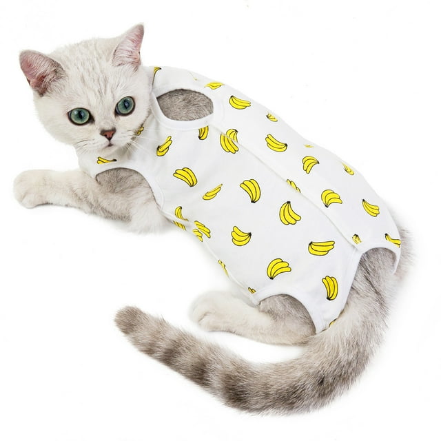 Ropa quirúrgica para gatos Ropa de esterilización para gatas Ropa de destete Ropa para gatos de cuatro patas Ropa de esterilización fina y transpirable para gatos de verano