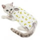 thumbnail image 2 of Traje de recuperación quirúrgica profesional para gatos Traje de cirugía de pulpa de algodón transpirable para heridas abdominales y enfermedades de la piel para gatos y perros, traje de ropa postoperatoria (XL-4-6 kg, plátano) brillar Electrónica, 2 of 4