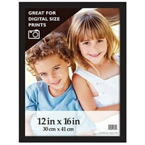 MCS 12x16 Inch Gallery Wood Wall Frame, Black (46397)