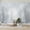 Color 3, variant on Wallpaper Winter Forest Bare Trees Soft Gray Landscape Woodland Peel and Stick Wall Murals 69"H x 96"W Removable PVC Wall Paper Self-Adhesive Wall Paintings Art Decor for Bedroom Living Room