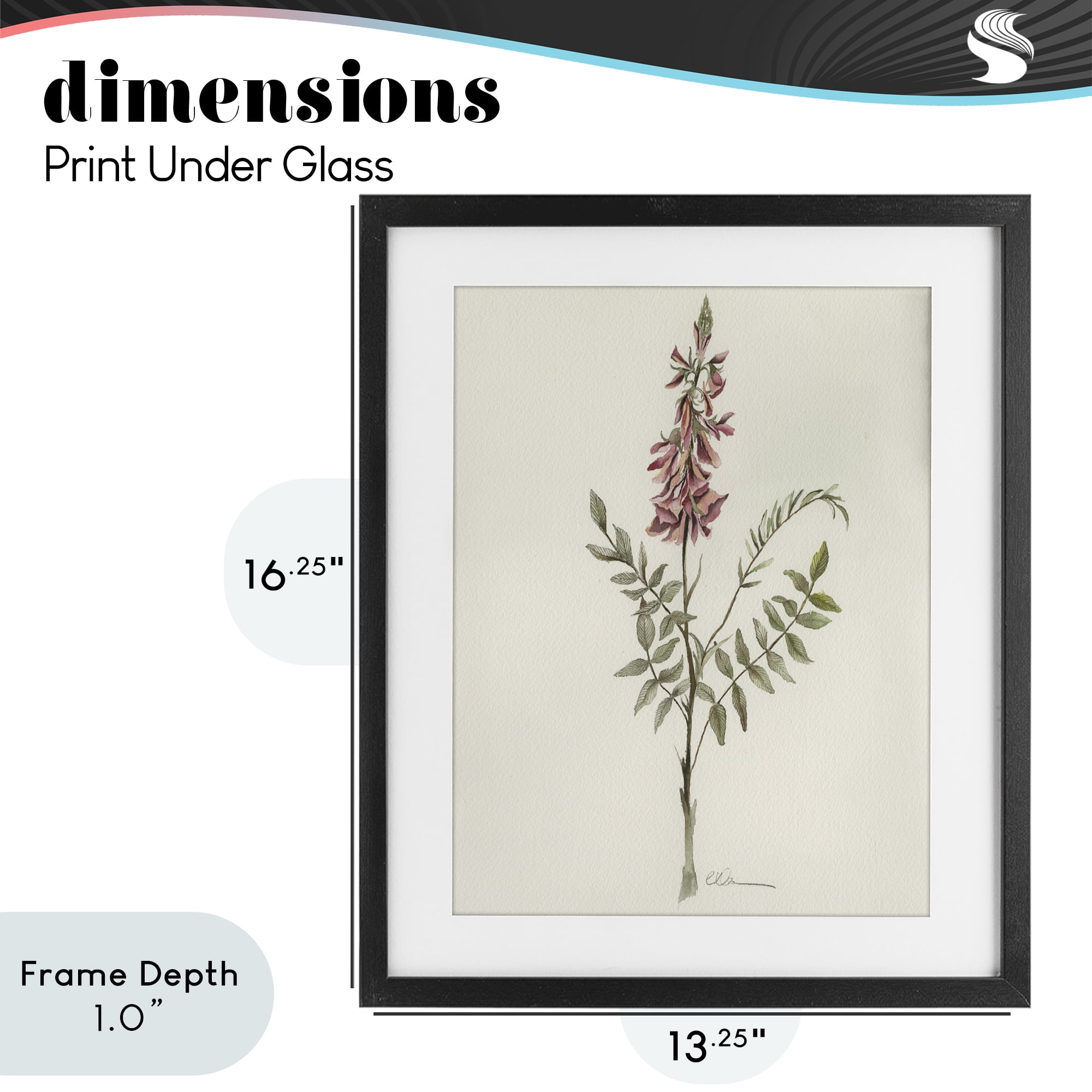 Stupell Industries Nature's Delicate Herb Sprig Black Framed Print Under Glass, design by Cady Driver