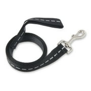 Vibrant Life Solid Nylon Dog Leash, Black, Large