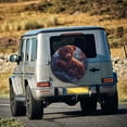 thumbnail image 5 of Susaid Lazy Stone Bear Print Tire Covers,Waterproof Anti-UV Snow Sun Rain Tire Covers for RV,Truck, SUV, Trailer, Camper-14 inch, 5 of 6