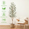 thumbnail image 2 of 6FT Olive Tree Artificial Indoor Tall Faux Plant for Home Office Decoration, Fake Potted Tree with Natural Wood Trunk & Lifelike Fruits (72"), 2 of 9