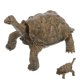 thumbnail image 5 of BRIGHTFUFU Figura de tortuga de simulación realista, modelo de tortuga, figura de Animal marino, 5 of 8