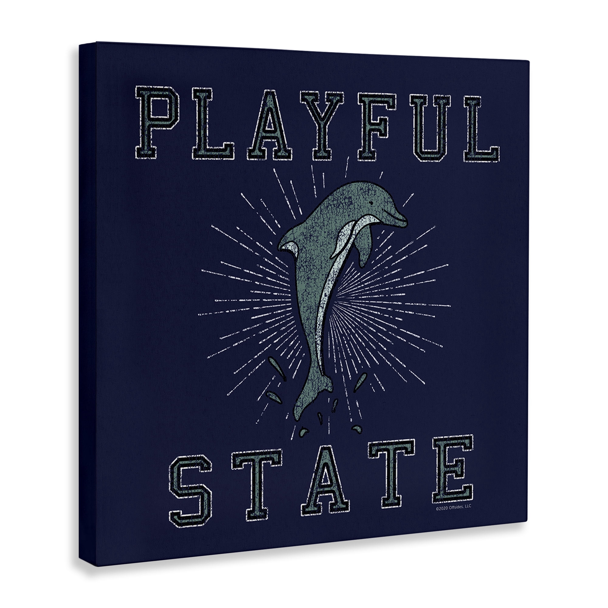 Stupell Industries Playful State Dolphin Novelty & Humor Painting Wrapped Canvas Art Print Wall Art, 24 x 24