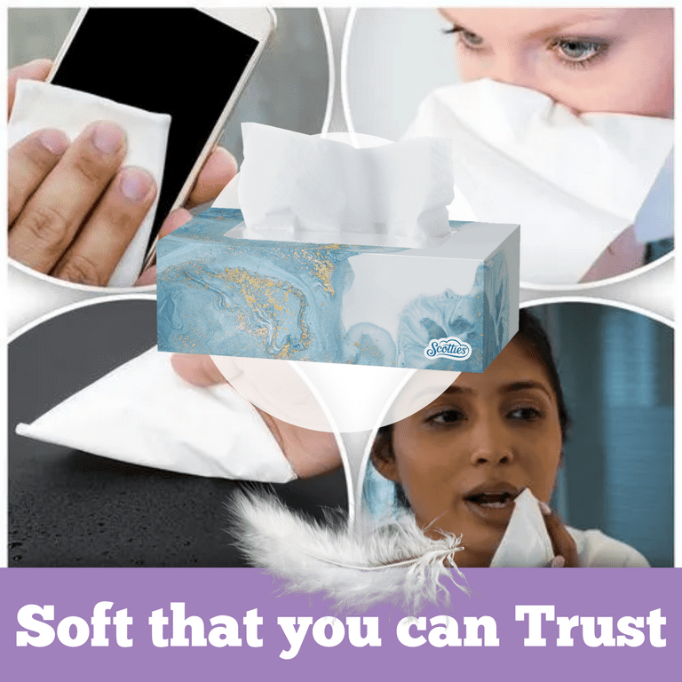 Premium White Facial Tissues (2-ply, 100 Sheets) x 40 Boxes
