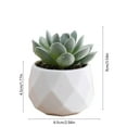 thumbnail image 3 of Mini Artificial Plants in Plastic Pots | Fake s for Home Office Desk Decor | Small Faux Plants for Women Gifts | Indoor Decorations, 3 of 6