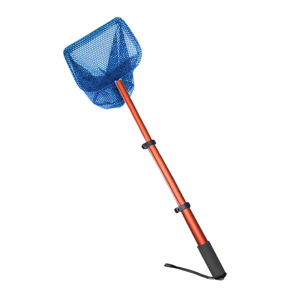 Recogedor de pelotas de tenis de mesa, recogedor de red telescópico, dispositivo de entrenamiento Azul