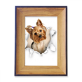 thumbnail image 1 of Animal Paper Break Shocks Chihuahua Photo Frame Exhibition Display Art Desktop Painting, 1 of 3
