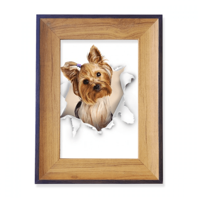 Animal Paper Break Shocks Chihuahua Photo Frame Exhibition Display Art Desktop Painting