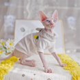 thumbnail image 4 of Vêtements pour Chat Sans Poils Style Ananas Printemps Été Mode Sphinx Chaton Port Confort Sphynx Tenues pour Chat, 4 of 5