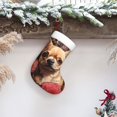 thumbnail image 5 of Cauagu Vintage Red Flower Chihuahua for Christmas Stockings,1-Pack Large Xmas Stocking Holiday and Farmhouse Stocking Fit for Christmas Holiday Party Decoration(17.7*11 Inch), 5 of 7