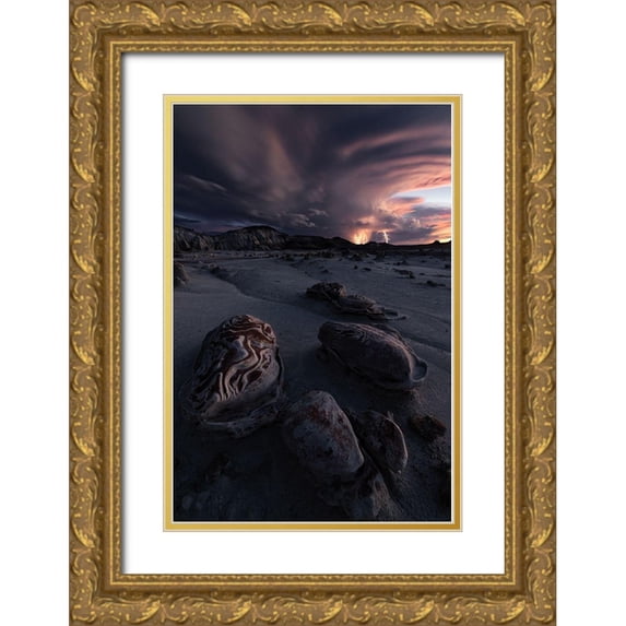 Ning, Aidong 23x32 Gold Ornate Wood Framed with Double Matting Museum Art Print Titled - Lightning Up