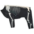 thumbnail image 1 of TIELUTT Halloween Dog Pet Halloween Party Apparel for Pet Clothes for Medium Dogs Female Pet Clothes for Medium Dogs Girl Pet Clothes Rack Pet Clothes for Small Dogs Pet Clothes for Small Dogs Girl, 1 of 7
