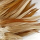 thumbnail image 3 of 50x Minion Rooster Feather 4-6 pulgadas / 10-15 cm para sombrerería artesanal, 3 of 9