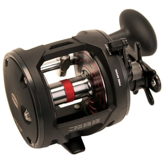 Fishing Reels Saltwater Fishing in Family Fishing Specialty Shops 
