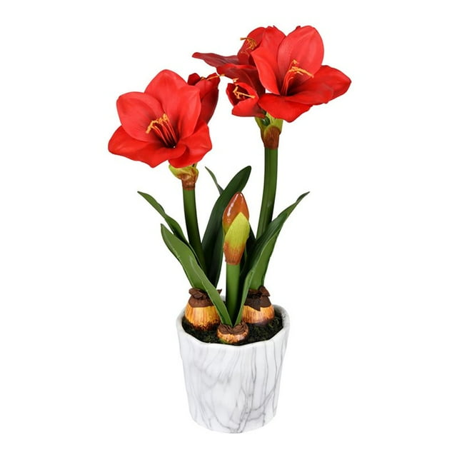 Vickerman 22" Arrangement Floral Artificiel en Plastique Amaryllis en Rouge