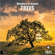 " Trees - 2022 Hangable Wall Calendars by Red Ember Press - 12"" x 24"" When Open - Thick & Sturdy Glossy Paper -
