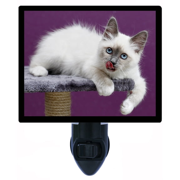 Night Light - Is It Dinner Yet? | Cat Theme, Includes Free Switchable Insert, 4W Bulb, E12 Base