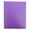 Purple, variant on PPKVUFD Plastic 2 Pocket Folders with 3 Prongs, (1 Pack, Green), 3-Clasp Folders with Fasteners, Heavy Duty Plastic Folder with 3 Prong Fasteners for Office, Letter Size