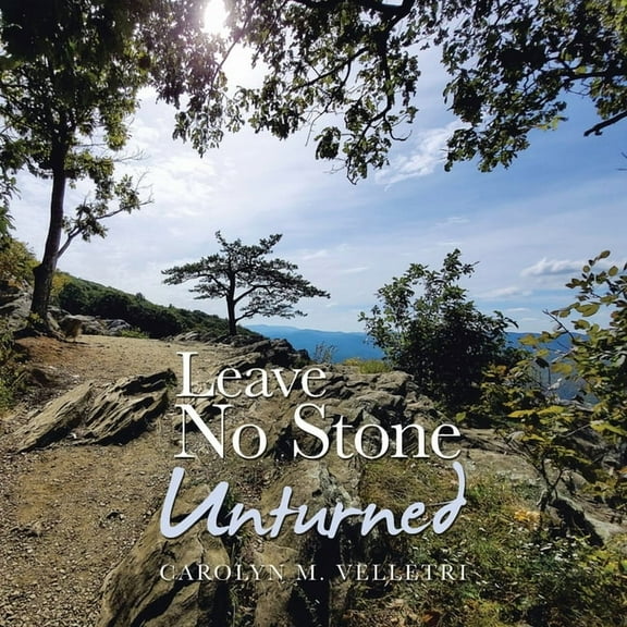 Leave No Stone Unturned, (Paperback)