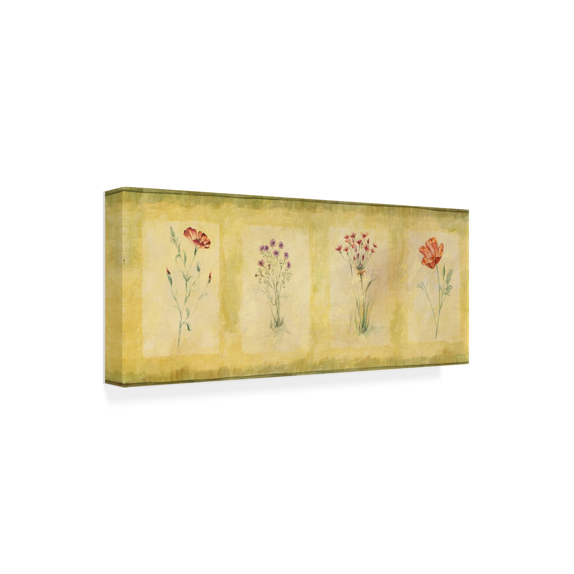 Trademark Fine Art 'Pink Four Panel' Canvas Art by Pablo Esteban