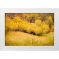 thumbnail image 1 of Murdock, Ramona 14x11 White Modern Wood Framed Museum Art Print Titled - Fall Thicket, 1 of 4