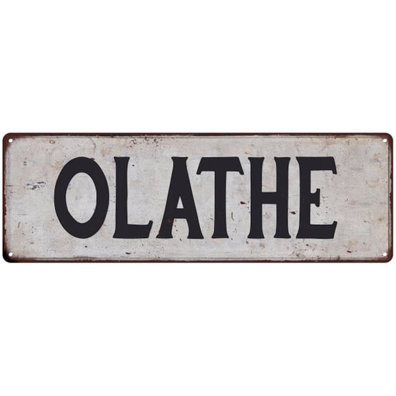 OLATHE Vintage Look Rustic Metal 6x18 Sign City State 106180041066