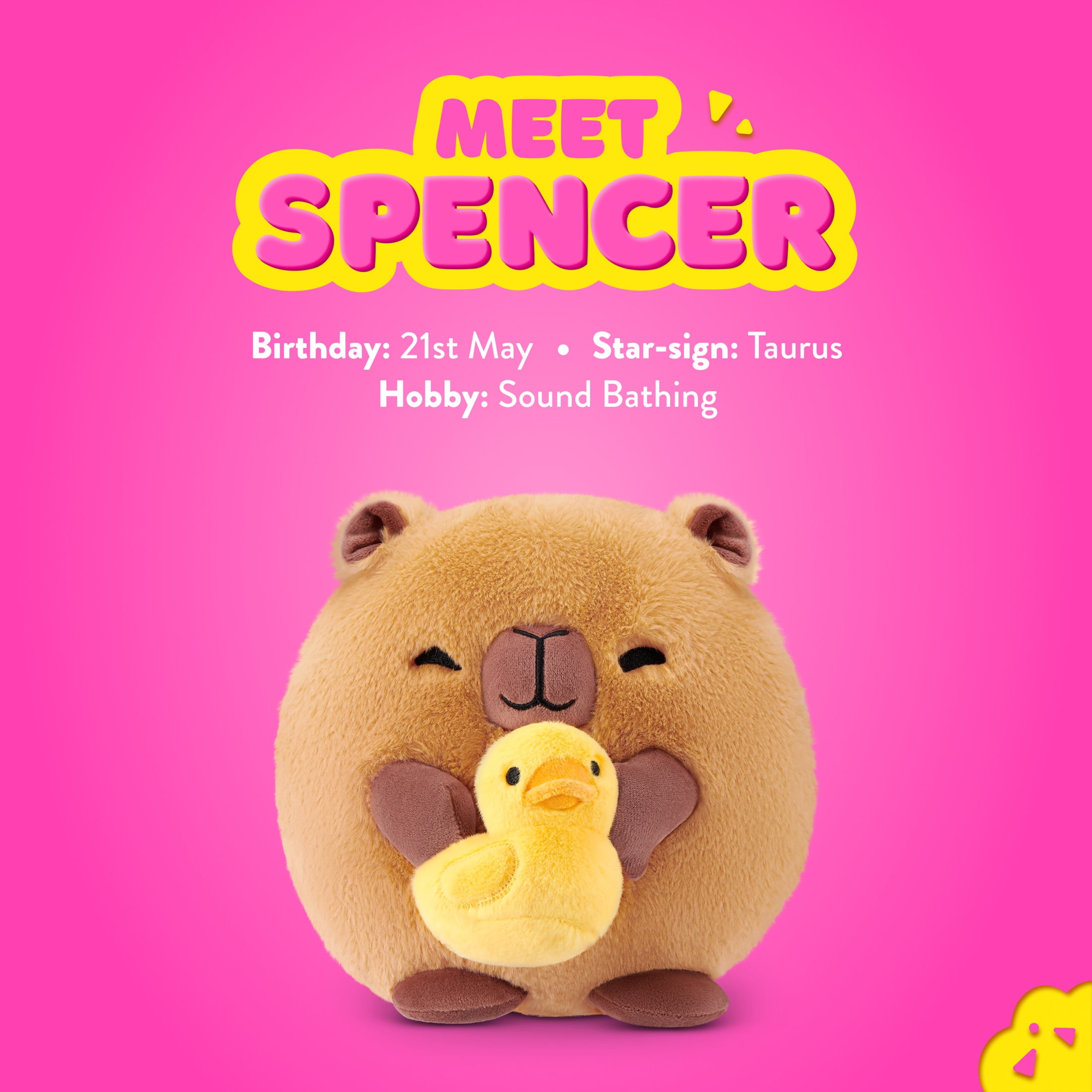 Snackles Core Series 2 Capybara with Rubber Duck by ZURU - Ultra-Soft 8-inch Plush Toy for All Ages