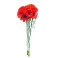thumbnail image 2 of Bouquet de gerberas 10 tallos, 2 of 3