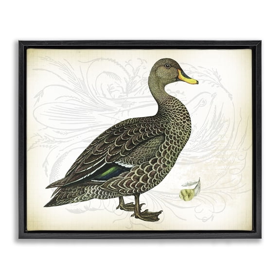 Stupell Industries Victorian Patterned Vintage Duck Black Floating Frame Canvas Art, 21 x 17, by Lula Bijoux & co.