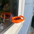 thumbnail image 4 of Suction Cup Feeder Window Suction Cup Bird Feeder Courtyard Decoration Plastic, 4 of 5