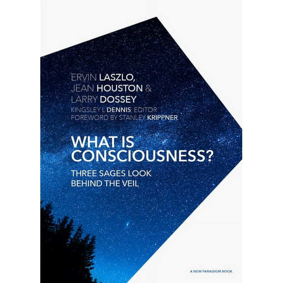 New Paradigm Book What Is Consciousness?: Three Sages Look Behind the Veil, (Hardcover)