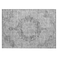 thumbnail image 2 of Addison Rugs Chantille Indoor/Outdoor Traditional Global Silver Washable Rectangle Rug, 1'8" x 2'6", 2 of 6