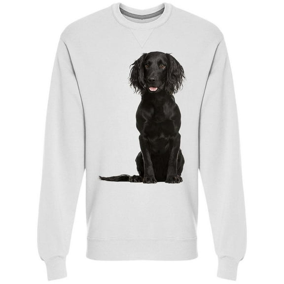 Cocker Spaniel, Posing Sweatshirt Men -Image by Shutterstock, Male Medium