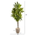 thumbnail image 2 of Nearly Natural 9875 68” Dracaena Artificial Plant in Sand Colored Planter (Real Touch), 2 of 2