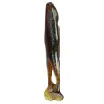 thumbnail image 4 of 2Pcs/Lot 105mm 13g Forme de Grenouille Appâts de Poisson Doux Réalistes Leurres de Pêche (7Dark Green), 4 of 8