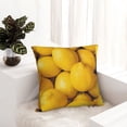 thumbnail image 6 of Pofeuu Ripe Yellow Lemon Print Double-sided plush pillowcase Square Throw Pillow Covers Pillows Cover for Living Room Bedroom Sofa Couch Cushion Cover（No pillow core）-24"x24", 6 of 7