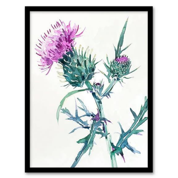 Artery8 Scottish Thistle Flower Bloom Floral Watercolour Living Room Art Print Framed Poster Wall Decor 12x16 inch