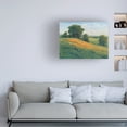 thumbnail image 3 of Tim OToole 'Poppy Fields I' Canvas Art, 3 of 3