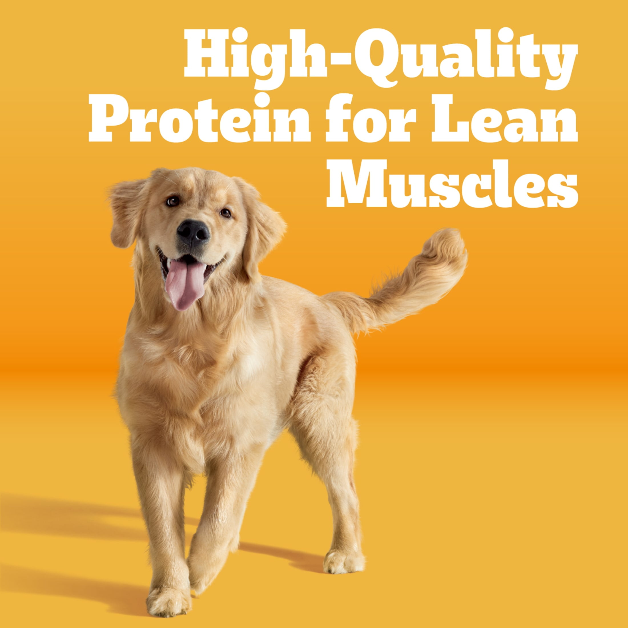 Pedigree High Protein Adult, Beef And Lamb Flavor Dry Dog Food, 18 Lb Bag
