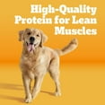 thumbnail image 2 of Pedigree High Protein Adult Dry Dog Food, Beef and Lamb Flavor, 18 lb. Bag, 2 of 10