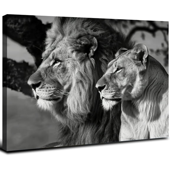 JRXY Lion and Lioness Hug Poster Black and White Animal Lion Wall Art Picture Print Canvas Painting Modern Home Living Room Decor Poster 20x16inch